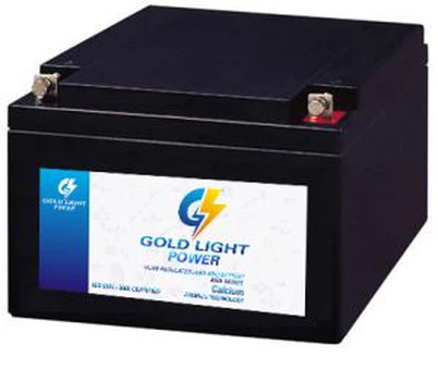 بطارية EPS 12V24AH للبيع الساخن لحماية الطاقة من الحرائق وأنظمة الحوسبة الجادة وإمدادات الطاقة في حالات الطوارئ في المستشفيات